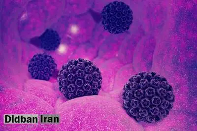 انتقال ویروس HPV از استخر واقعیت ندارد