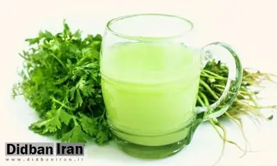 چگونه آب گشنیز به رشد مو و بهبود کیفیت آن کمک میکند+طرز تهیه ماسک موی آب گشنیز