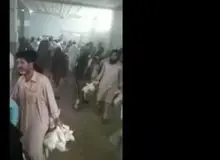 رئیس اتحادیه مرغداران شهرستان ایرانشهر  با رصد اطلاعاتی پاسداران گمنام امام زمان (عج) بازداشت شد