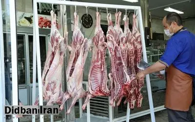 با کسانی که گوشت قرمز را گران بفروشند، برخورد می کنیم