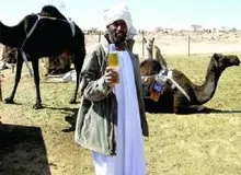 از خوردن ادرار شتر به شدت پرهیز کنید/ ممکن است حاوی ویروس MERS  باشد 