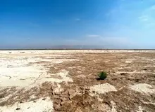 تالاب صالحیه همچنان بی‌آب