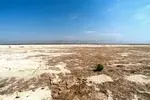 تالاب صالحیه همچنان بی‌آب