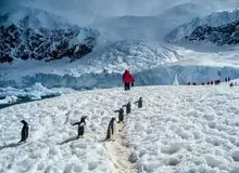 زیر یخ‌های عظیم جنوبگان چه چیزهایی مدفون است؟