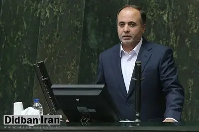 نماینده مجلس: صیانتگران مجلس را دور زدهاند!