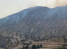 دستور ویژه برای اطفای حریق در چالوس
