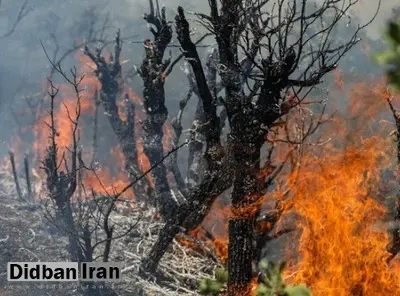 آتشسوزی پارک ملی بمو مهار شد