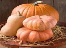 مواد مغذی کدو حلوایی برای مقابله با بیماری ها
