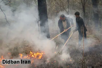 محیطزیست چهارمحال و بختیاری: یرای مهار آتش در منطقه حفاظت شده هلن که از چهارشنبه شروع شده، بالگرد می خواهیم