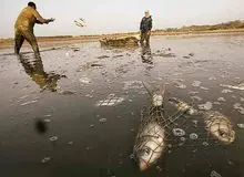 واکنش استاندار خوزستان به صیادی با شوکر برقی در تالاب شادگان
