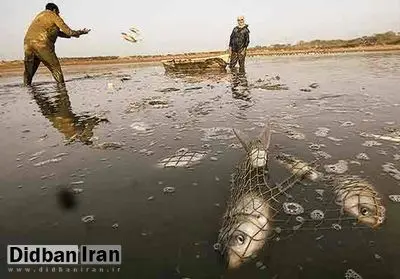 واکنش استاندار خوزستان به صیادی با شوکر برقی در تالاب شادگان
