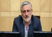 میرزایی نیکو:نمایندگان مجلس یازدهم بی سواد هستند / نمایندگان خودشان متوجه نشدند چه چیزی را رد کردند