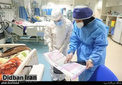 سرایت ویروس جدید کرونا ۱۸ برابر بیشتر از سویه قبلی است