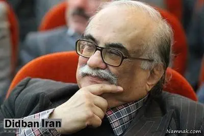 خسرو معتضد: دلیل سقوط صفویه مشکلات اقتصادی نبود/ زین اسب و بشقاب غذای مردم در آن دوره از طلا بود