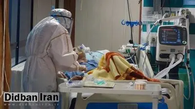 بازگشت اپیدمی کرونا در قم / رییس دانشگاه علوم پزشکی قم: حجم بیماران کرونایی در مراکز درمانی قم افزایش یافت