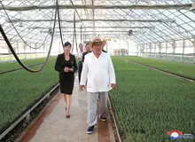 سفیر کره شمالی در سازمان ملل خطاب به برنامه غذای سازمان ملل نامه نوشت/ جیره غذایی مردم در کره شمالی نصف شده است 