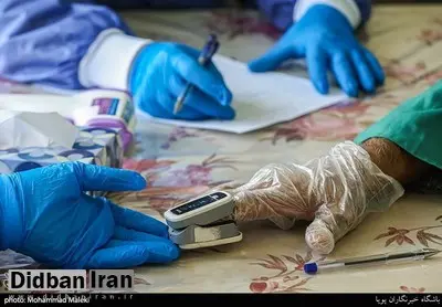 وضعیت مشهد سفید نیست/ رئیس دانشگاه علوم پزشکی مشهد: در 24 ساعت گذشته تعداد مبتلایان به ویروس کرونا افزایش یافته‌ است
