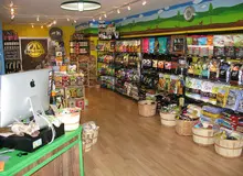 صدور مجوز کلینیک و فروشگاه های لوازم حیوانات در اصفهان ممنوع شد