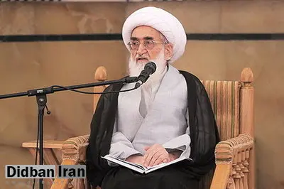 آیتالله نوریهمدانی: اطاعت از رهبری تنها راه حل مشکلات است
