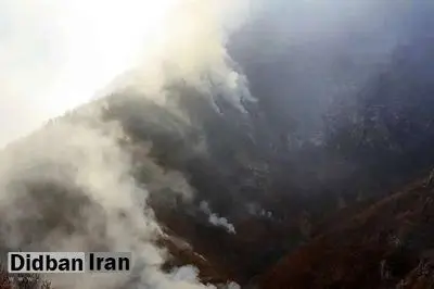 ۸۰ درصد آتش‌سوزی جنگل‌های هیرکانی مهار شد / پایان عملیات تا غروب امروز
