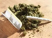 آماری از شیوع مصرف «گل» و محرک‌ها در تهران
