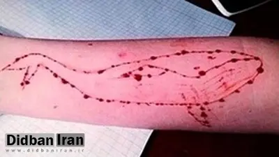هشدار رئیس اورژانس اجتماعی: اخبار و فیلم‌های «نهنگ آبی» را منتشر نکنید