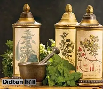 طعم گس این نوشیدنی کبد و صفرای شما را جلا می‌دهد