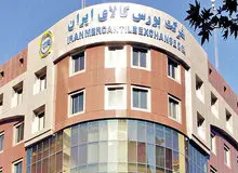 امکان خرید خرد برنج در بورس کالا فراهم شد
