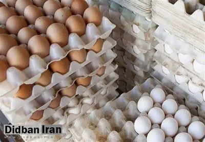 آخرین قیمت تخم مرغ در میادین میوه و ترهبار + جدول قیمت