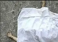 راز جسد زن جوانی که یک معتاد با گاری آن را حمل می کرد