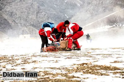 سقوط بهمن در جاده کرج - چالوس یک کشته برجای گذاشت