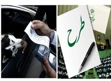 نماینده امضاء کننده صیانت از حقوق عامه مقابل حیوانات: هر کشوری یک فرهنگی دارد ما می خواهیم این فرهنگ را قانون کنیم/ شاید فردا مردم کرکودیل و ببر آوردند