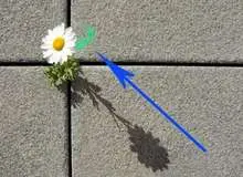 ۷ خرداد ساعت ۱۳:۴۸ هر جا رو به خورشید بایستید، قبله خواهد بود
