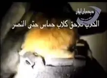 ورود سگ های ارتش اسرائیل به تونل های غزه+ فیلم 