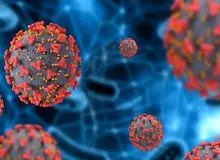 ۱۴ کشته و ۲۳۰ بیمار جدید کرونایی