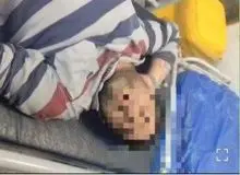 «سجاد کرده» دستگیر شد