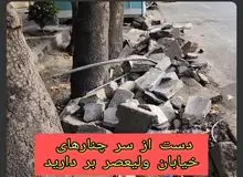 تداوم چنارکشی در خیابان ولیعصر تهران + فیلم