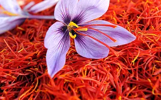 افزایش موارد پودر زعفران تقلبی در بازار
