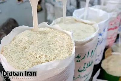 قیمت برنج ۳ برابر نرخ مصوب شد! / نجومی شدن قیمت برنج با یک تخلف بزرگ