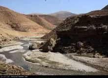 امـسال جـانوران هم تـشنه می‌مانند
