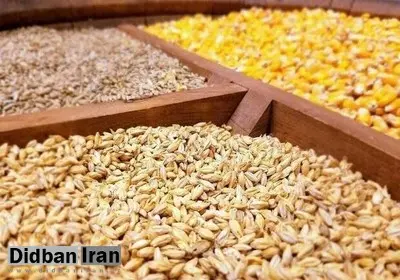 بازرس اتحادیه واردکنندگان نهاده‌های دام و طیور: کل موجودی جو در سراسر کشور زیر ١٠٠ هزار تن است/ در خرید کنجاله سویا با محدودیت روبرو هستیم