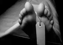 مسمومیت ۱۴  کشاورز در بوشهر با گاز قرص برنج / ۲ نفر فوت شدند