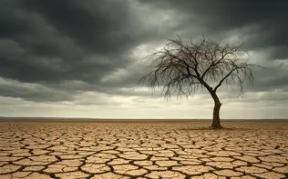 تداوم بی‌بارشی؛ ۱۵ استان در کُما + اینفوگرافیک