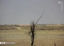 جمعی از وکلای دادگستری در حمایت از اعتراضات مردم خوزستان بیانیه صادر کردند