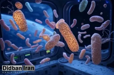 دانشمندان در ایستگاه فضایی چین گونه جدیدی از باکتریهای زمینی کشف کردند