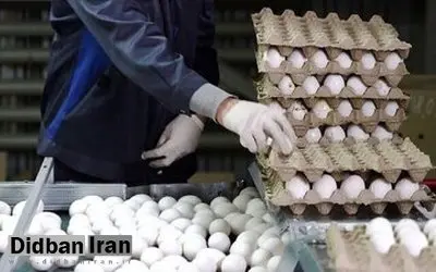 وزیر کشاورزی: قیمت فعلی تخم مرغ منطقی است