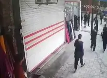 حمله "گرگ" به شهروندان در بازار شهر جوانرود!+فیلم 