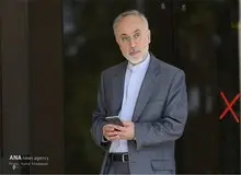علی اکبر صالحی: ترامپ می‌خواهد با مذاکره با ایران به اسطوره تبدیل شود/ او در حقیقت می‌گوید برجام را من باید امضا کنم
