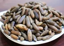 چلغوز هم لاکچری شد / کیلویی ۱ میلیون!