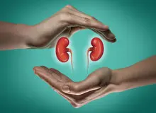 فروش کلیه در شهرستان‌ها از ۱۲۰ تا ۲۵۰ میلیون 